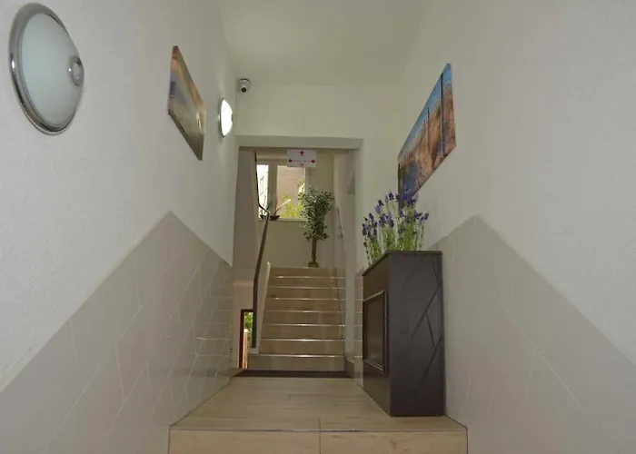 Neptuns Ankerplatz & Zur Seerobbe Отель 3*