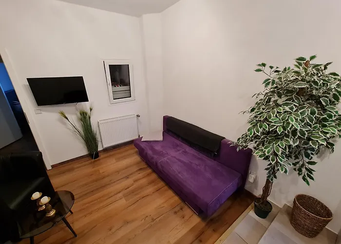 Отель Neptuns Ankerplatz & Zur Seerobbe